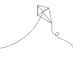 feedback-kite